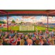 Moss Lane Stadium Fine Art Print - Altrincham FC